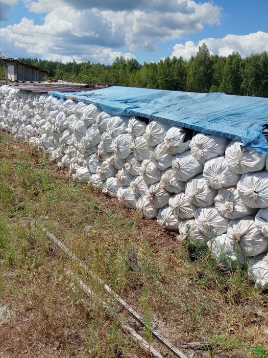 Продам  кору  сосновую!!