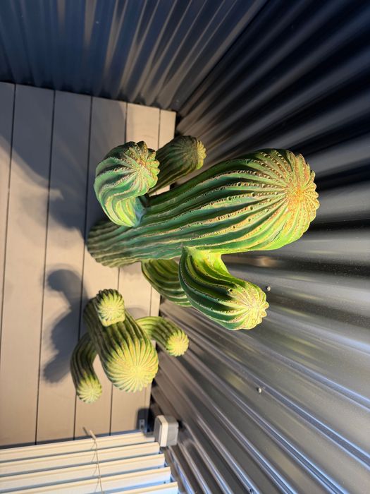 2 magníficos cactos decorativos, preço novo 339 €