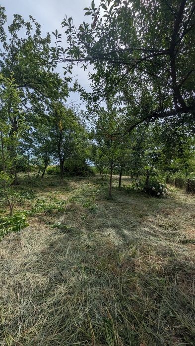 Будиночок біля р. Дністер