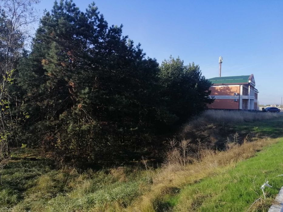 Участок, Леса ,Куриловка  Возле моста .Левый берег.