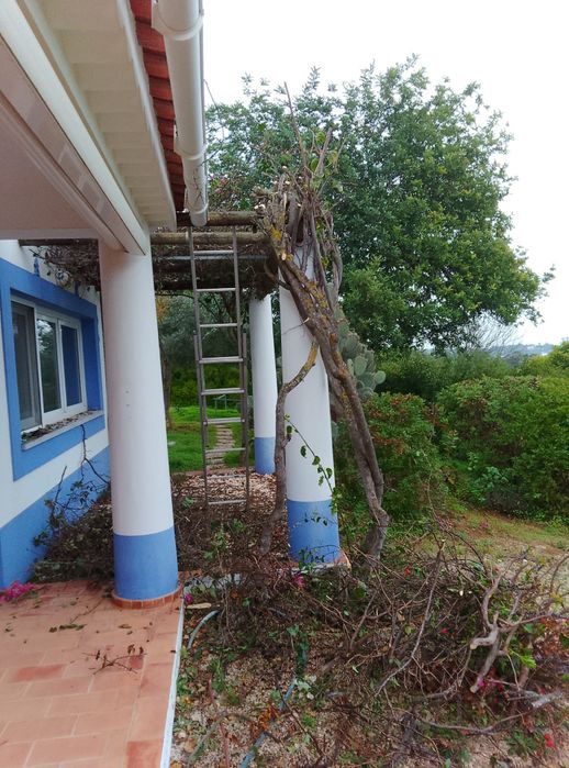 Jardins e Manutenção