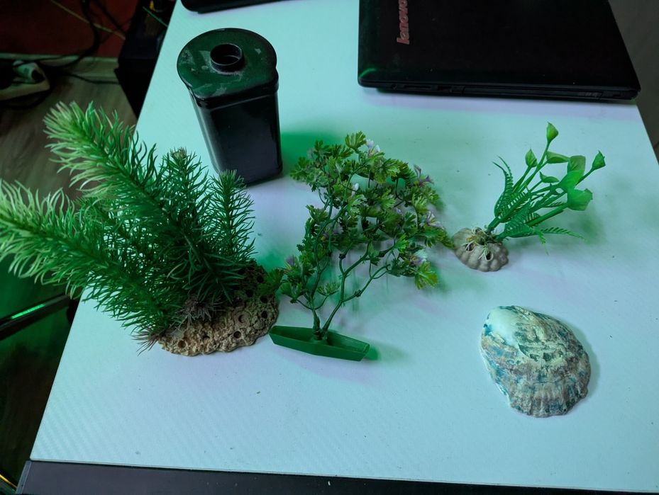 Akwarium 30l z dodatkami.
