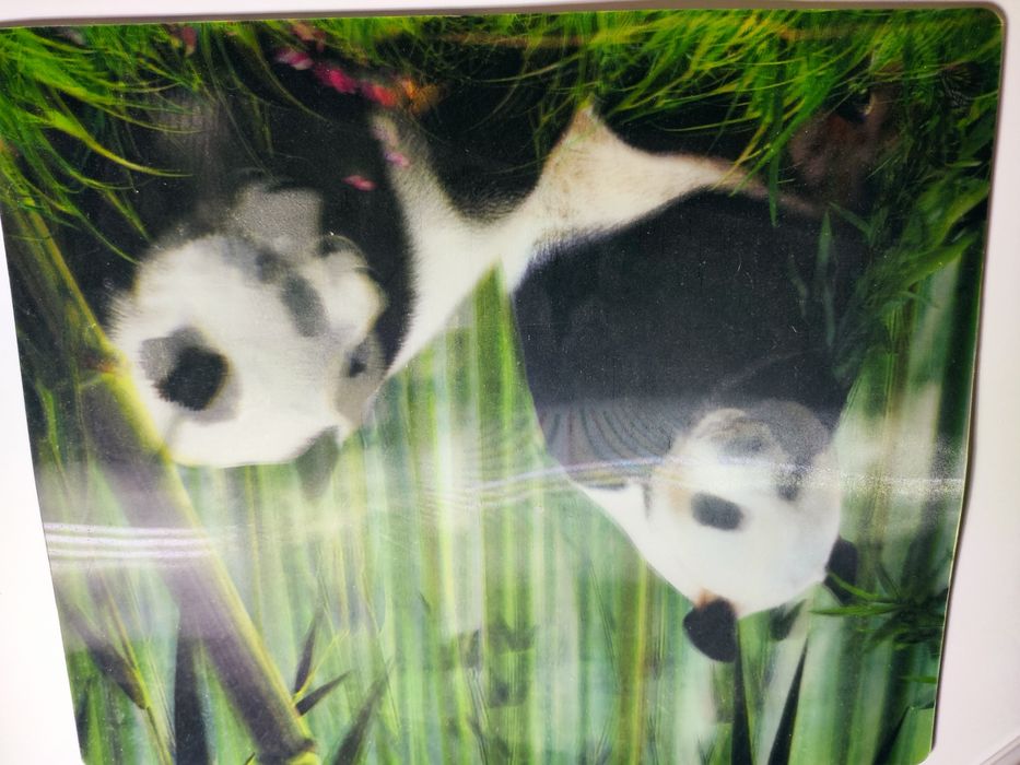 Tapete de rato holográfico com pandas