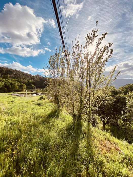 Quintinha no alto minho