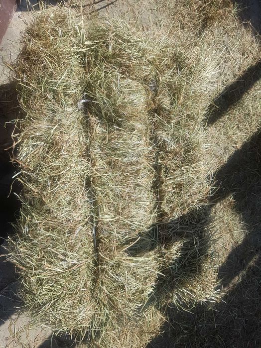 Sprzedam Siano 1,2 pokos