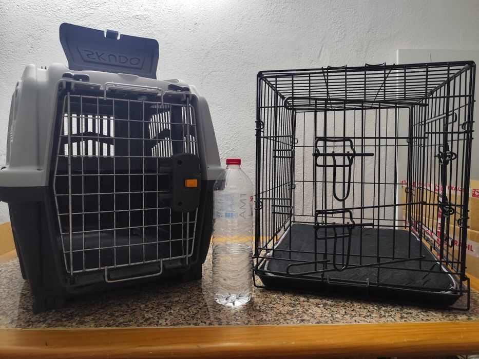 Transportadora de animais