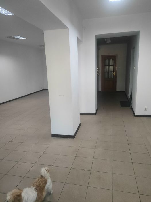 Lokal do wynajęcia