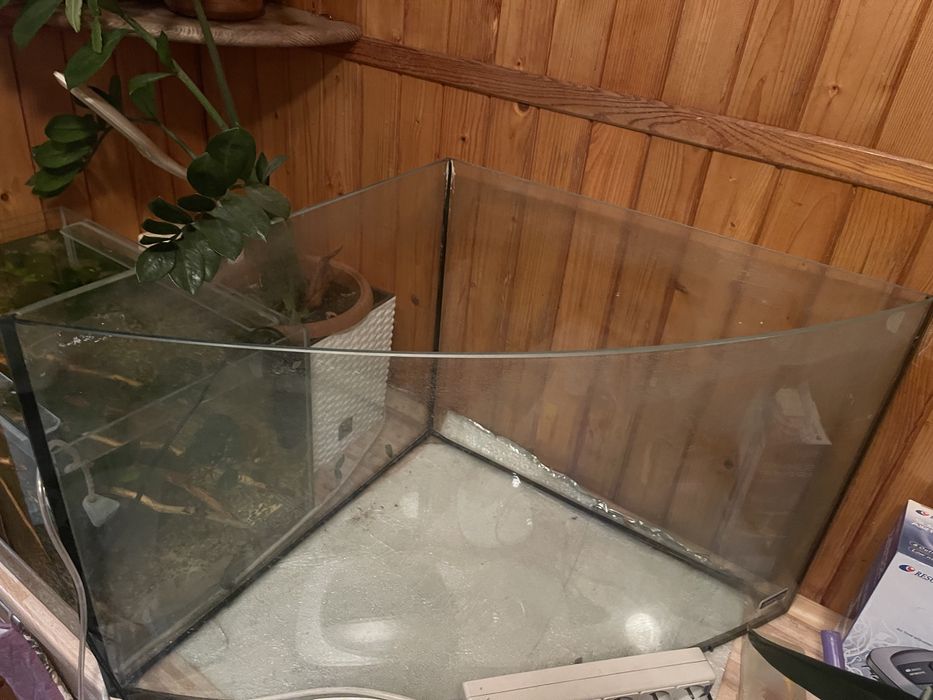 Аквариум трикутний