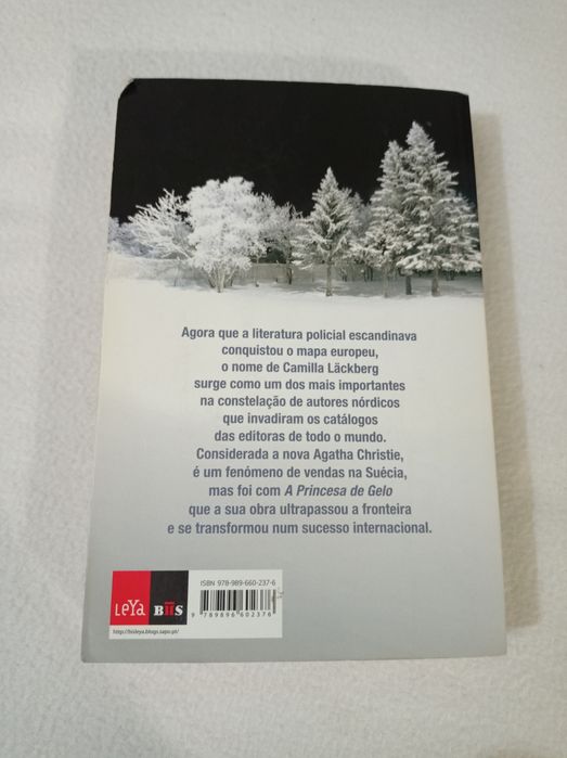 A princesa de gelo - Camilla Läckberg