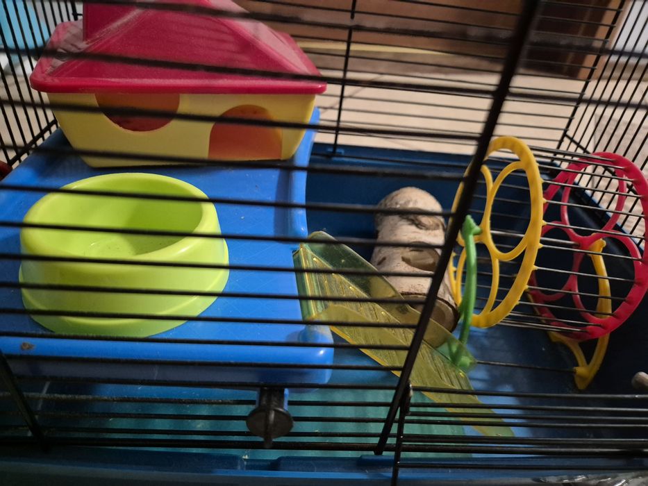 Klatka dla chomika/gryzonia.