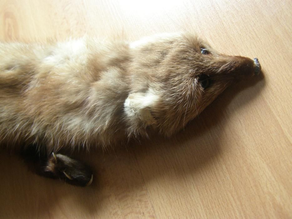 Szal z jenota - stan idealny!