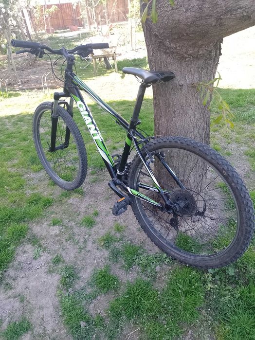 Giant aluxx 6000 butted tuning 26"