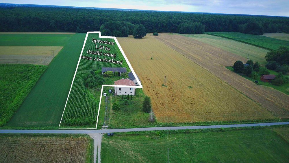 Sprzedam 2 działki rolne wraz z budynkami gospodarczymi