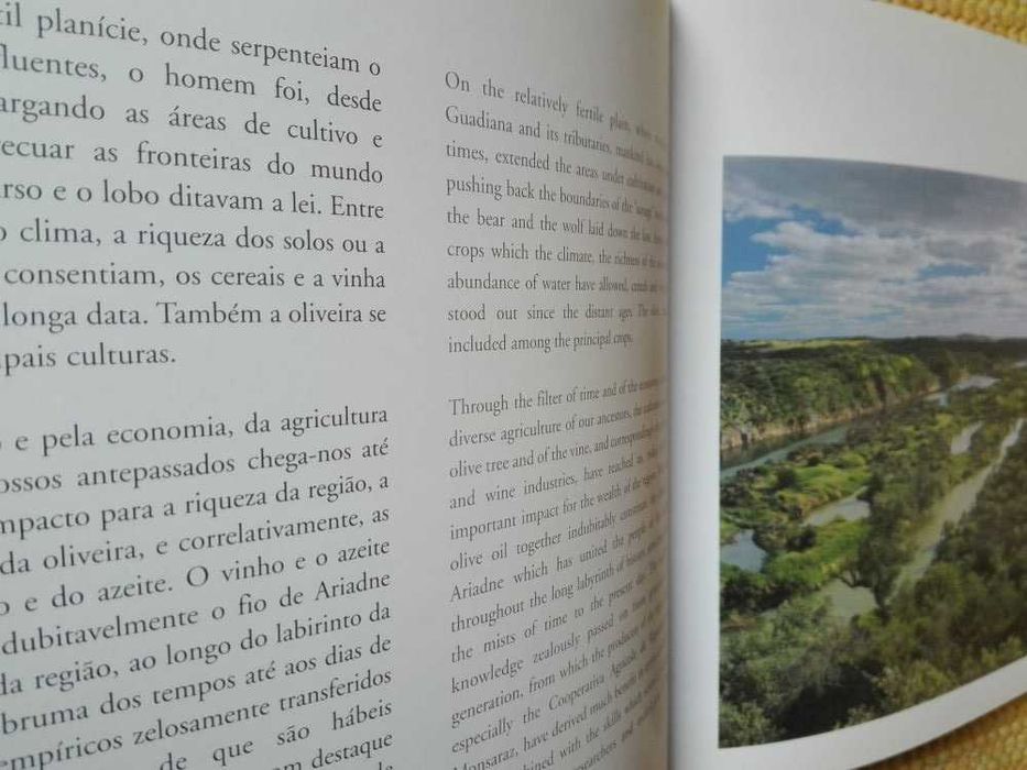 Livro Monsaraz e o seu reguengo | and its royal estate de Rui Cunha