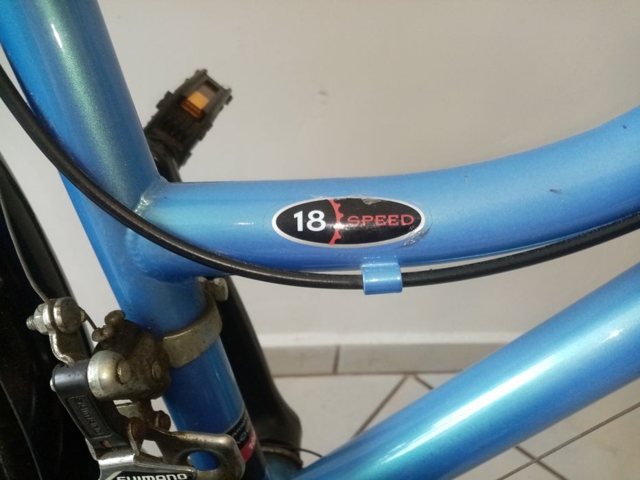 Rower Philadelphia Madison 18 speed. BDB STAN!