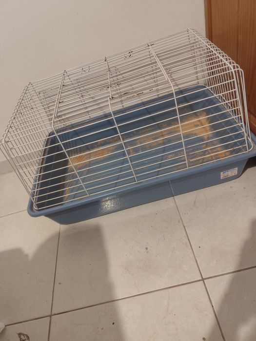Gaiola para coelho