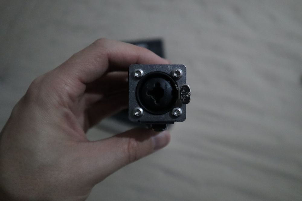 Fischer Amps Mini Body 2