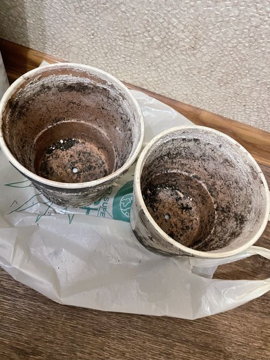 Продам керамічні горщики для квітів. 2 шт.