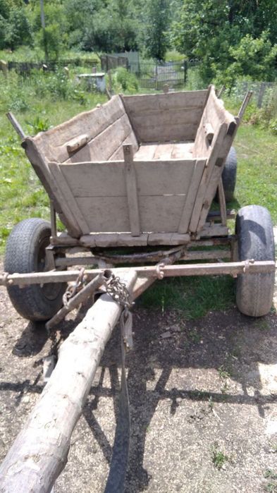 Є 4 фіри на вибір у грному стані