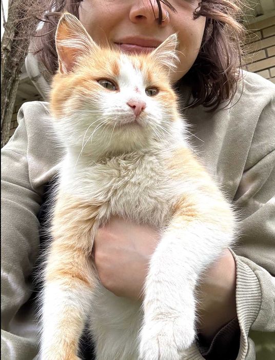 Лагідний та сором'язливий Ден шукає родину!