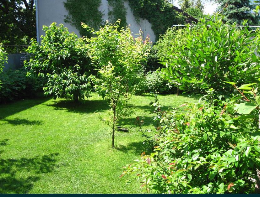 Красивый участок на Фонтане!