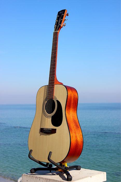 Гитара акустическая Cort 810 чехол RockBag утепленный