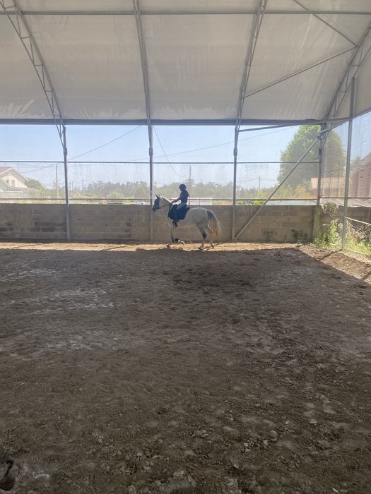 Batismos e passeios a cavalo