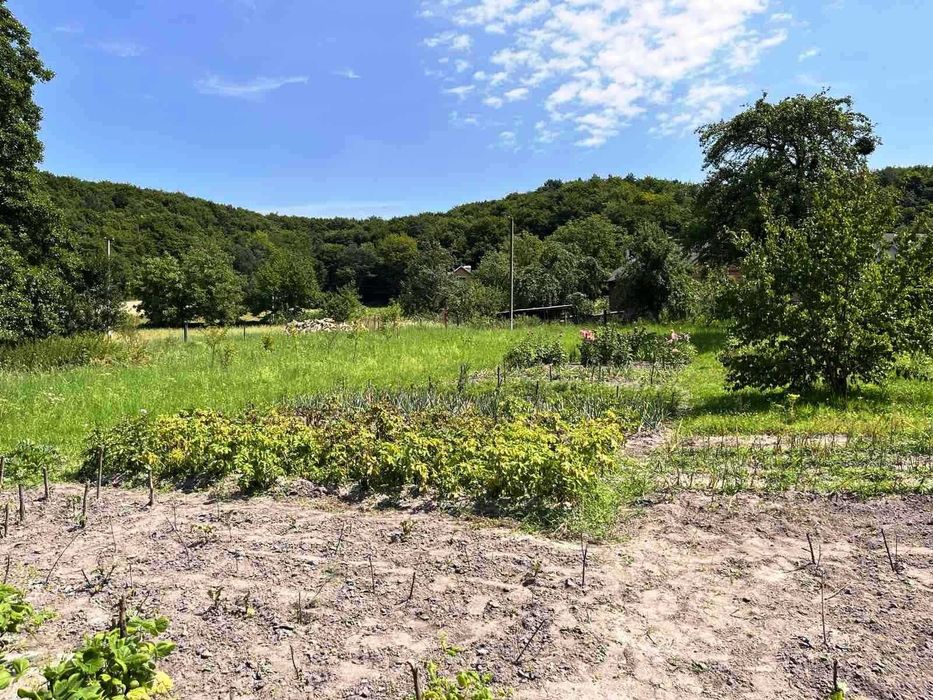 Продаж будинку + 1 гектар землі в с.Тростянець