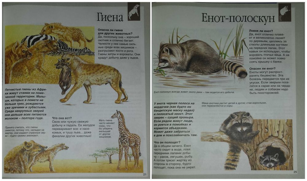 Детские книги Энциклопедии Животные енциклопедія Махаон