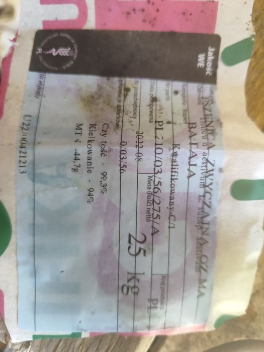 Pszenica po Centrali BATAJA