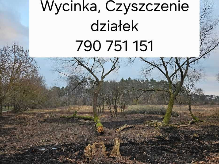 Usługi minikoparką,równanie terenu,glebogryzarka separacyjna,mulczer