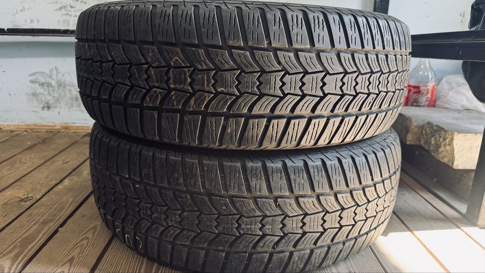 205 60 r16 Sava Eskimo hP2 шини всесезон