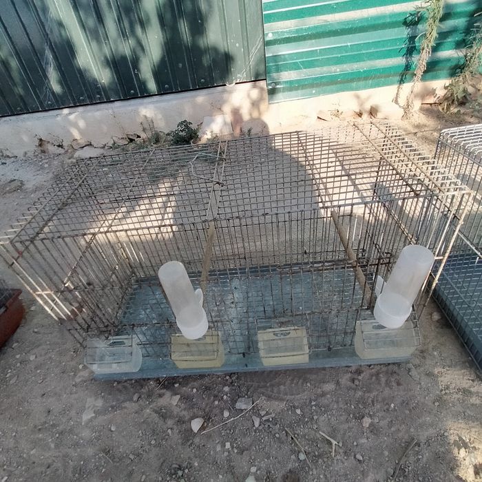 Gaiolas para canários