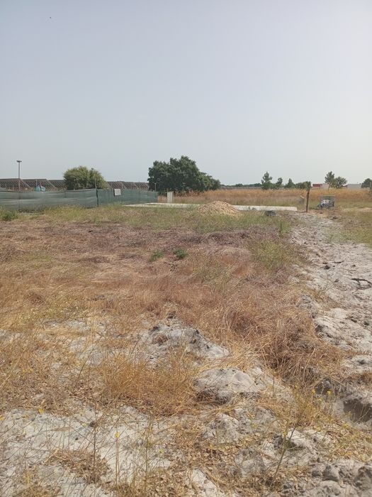Lotes em augi, 7mil euros de entrada
