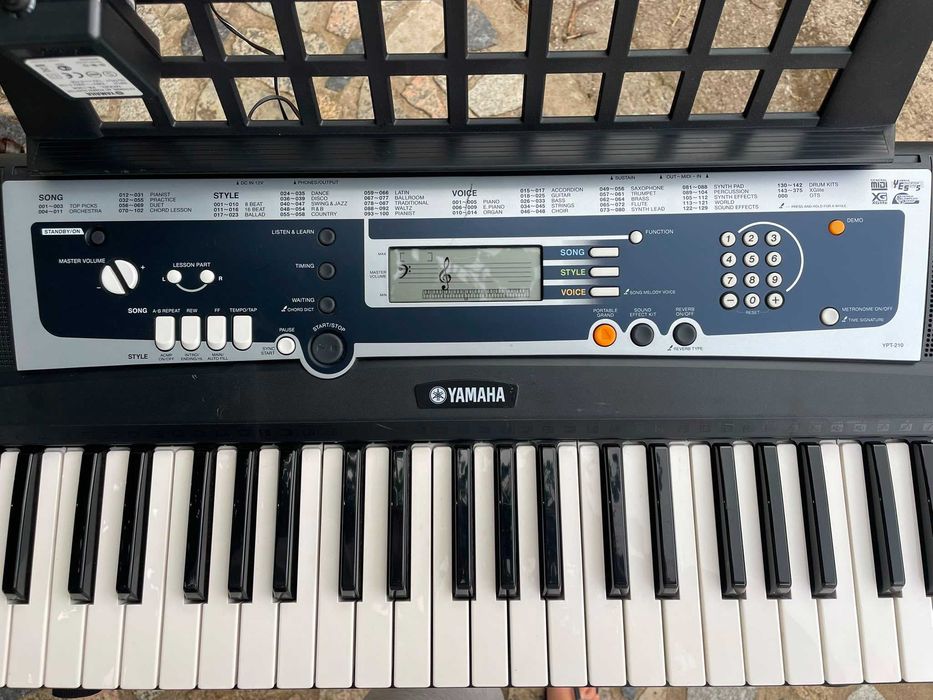 Teclado Yamaha YPT-210