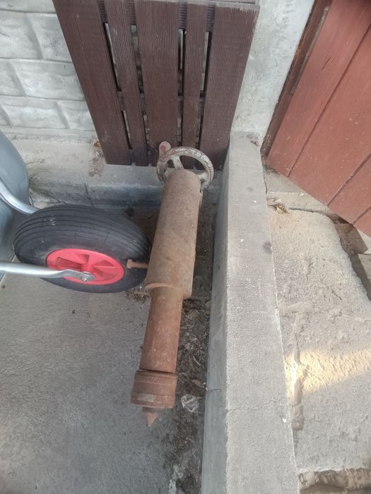Konik Tokarski Tokarka