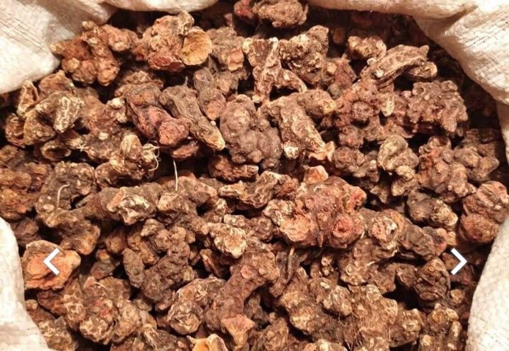 Ча га березка ,з города своє