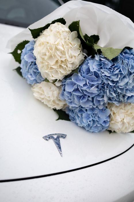 Прокат 24/7 оренда Тесла