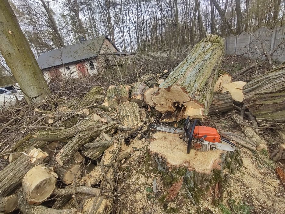 Wycinka drzew, usługi rębakiem,  wyrywanie korzeni, rozbiórki