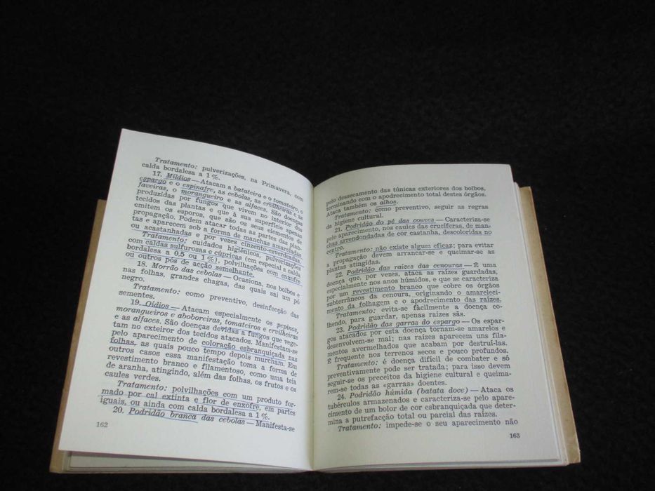 Livro A Pequena Horta Familiar Dias Antunes