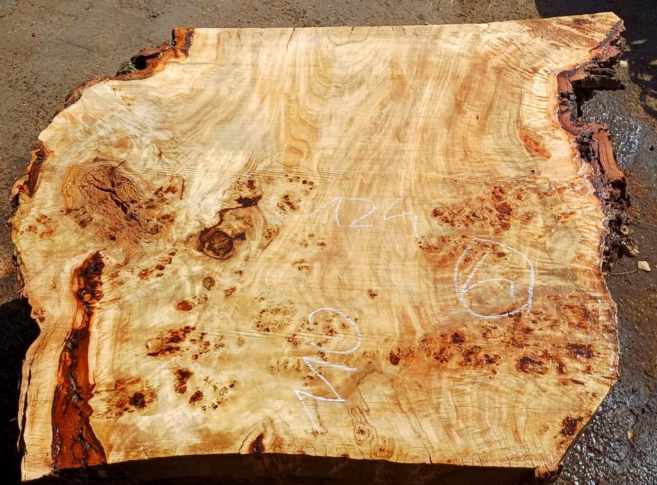 Blat live edge pod żywicę epoksydową topola z czeczotą