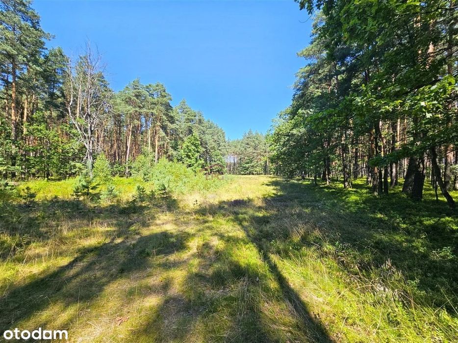 Działka Budowlana Ożarowice - Od Ręki! - Widok 6