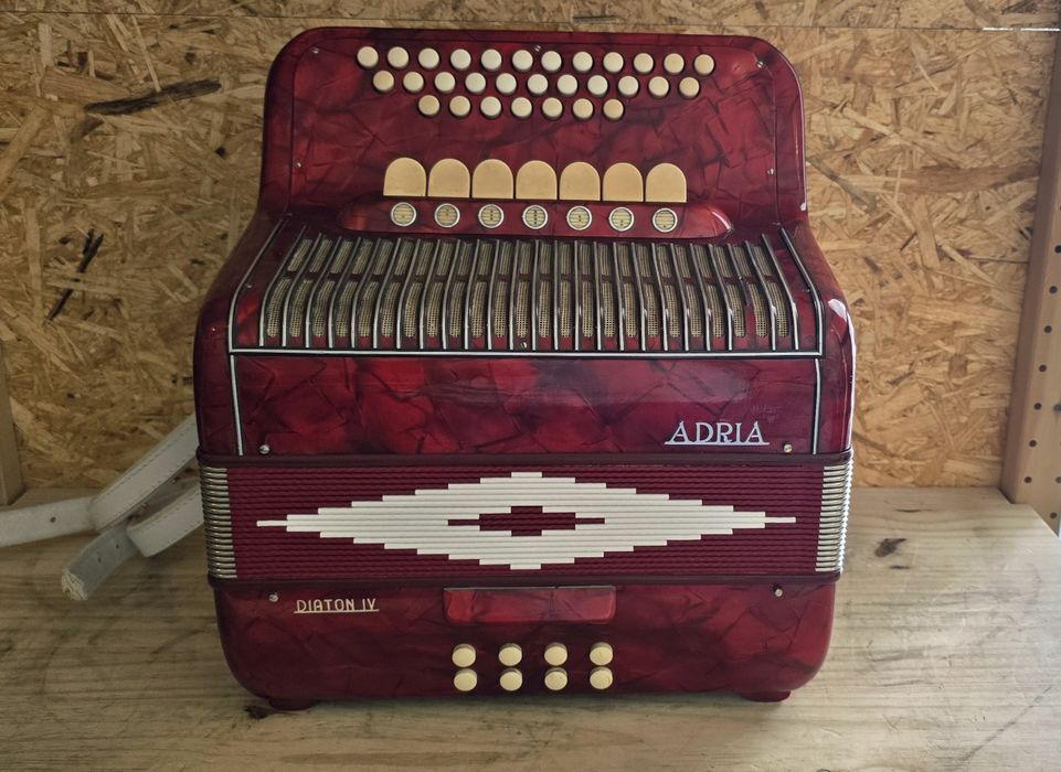 Concertina 4a voz fole novo