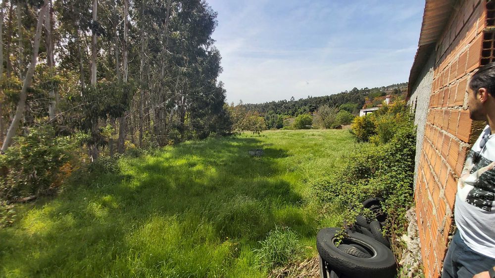 Propriedade 1 Hectare Serra do Caramulo