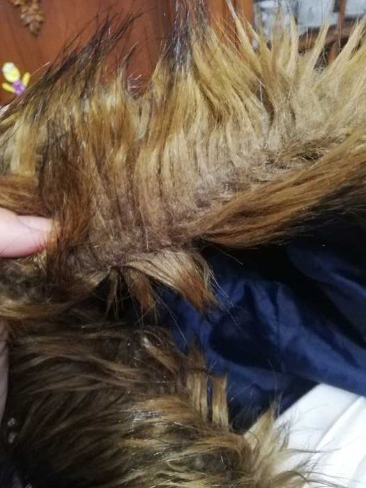 Kurtka damska 34 h&m