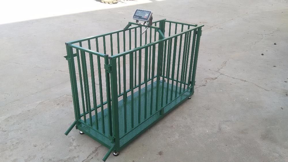 Waga inwentarzowa do tuczników, trzoda, żywca, świń elektroniczna