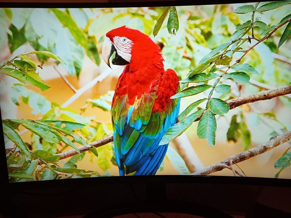 Acer ED273U 27" – HDMI + zasilacz, stan bardzo dobry