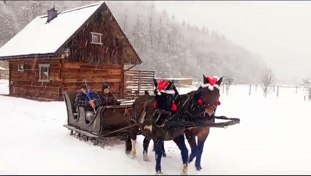 Bieszczady | Domek na odludziu | Konie, San, sauna, jacuzzi