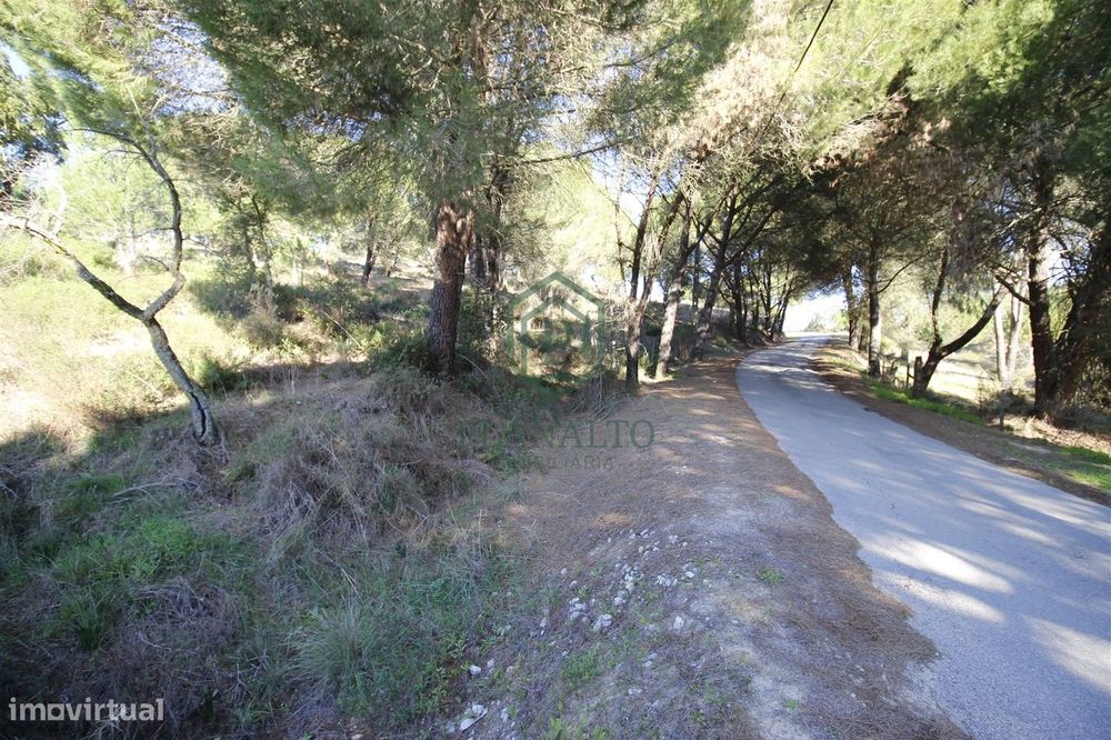 Terreno Rústico  Venda em Mora,Mora
