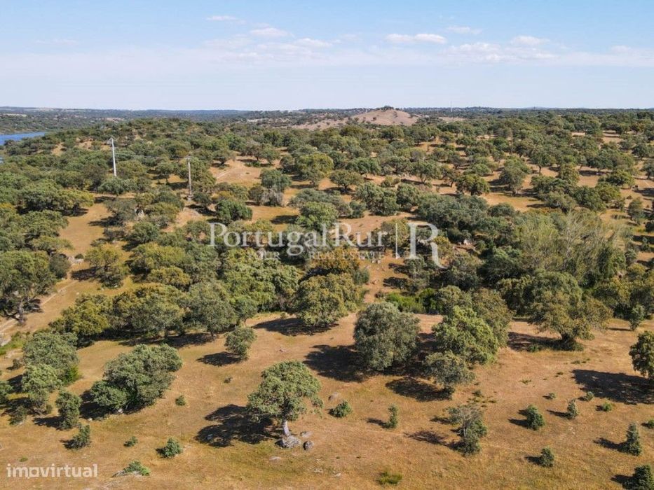 Herdade 80 hectares confinante com a Barragem